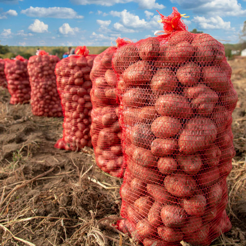 Saco Raschel rojo 5 kg Saco Raschel rojo 5 kg