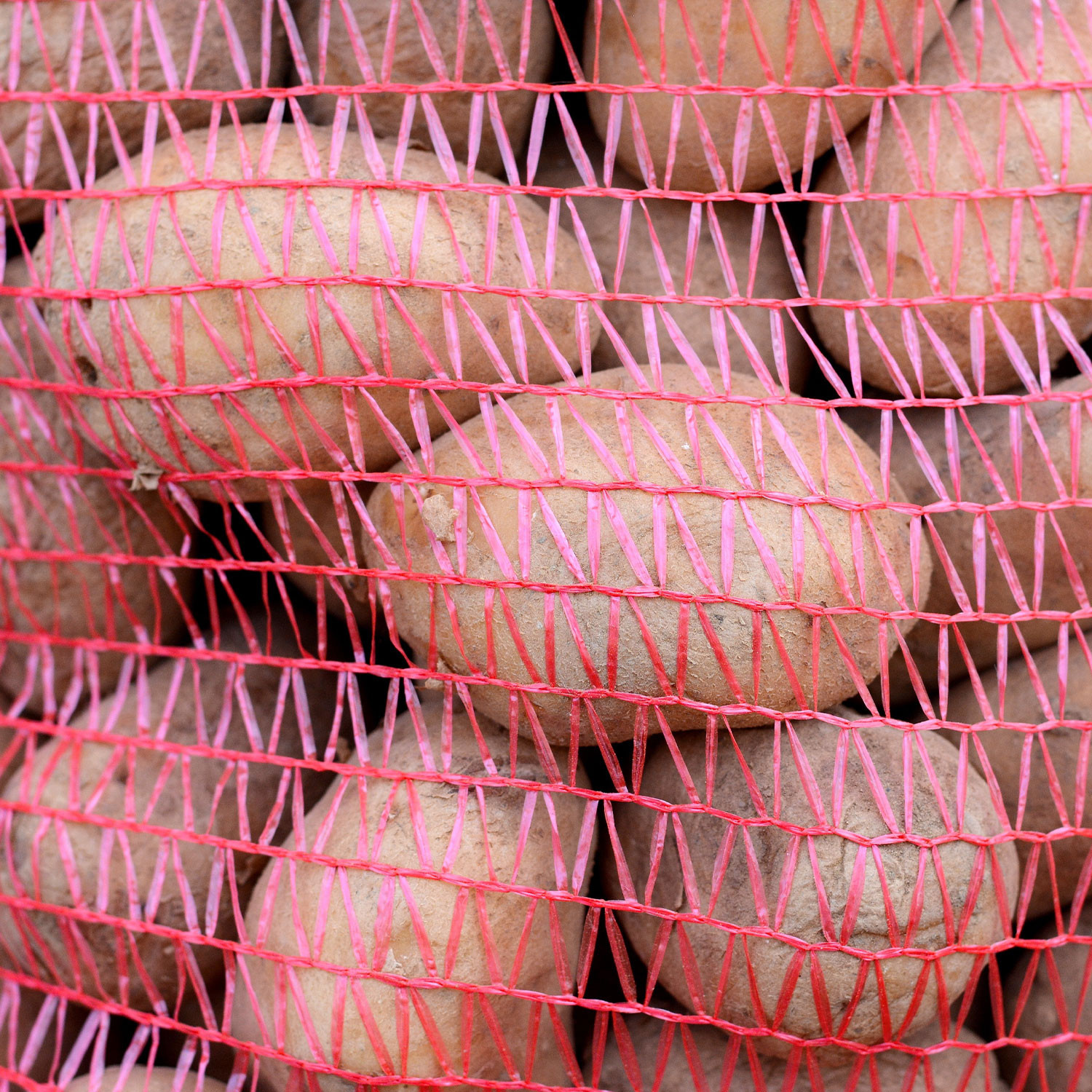 Saco Raschel rojo 35 cm x 58 cm 10 kg