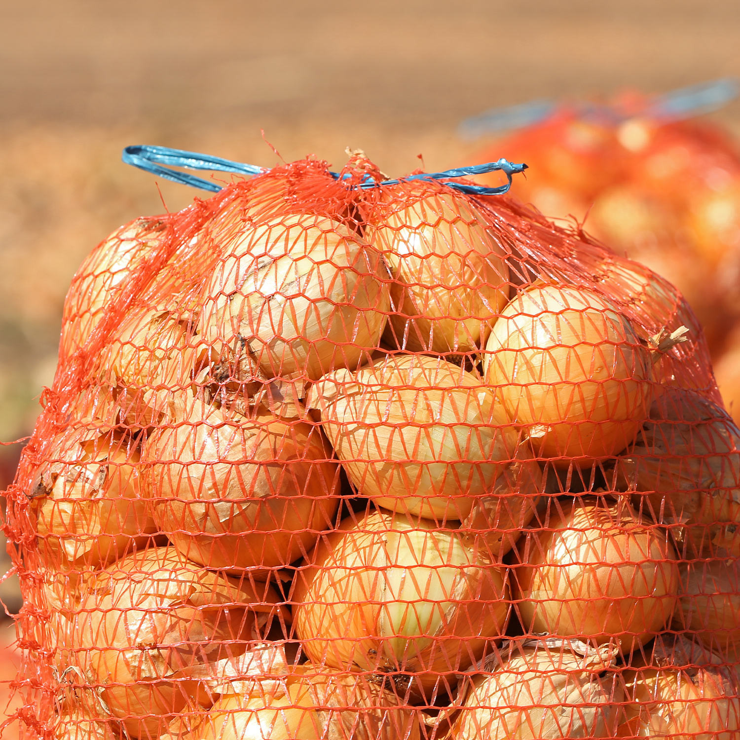 Saco Raschel rojo 38 cm x 58 cm 16 kg