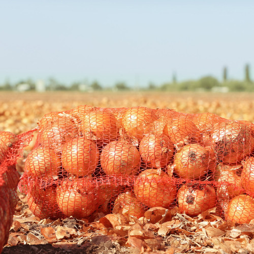 Saco Raschel rojo 38 cm x 58 cm 16 kg