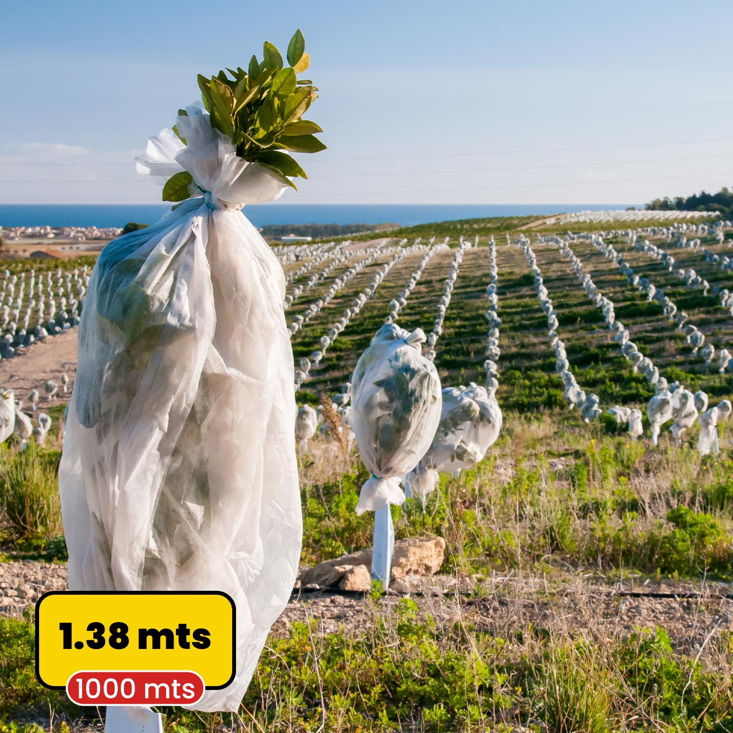 Tela anti heladas blanca 1.38mx1.000m Tela anti heladas blanca 1.38mx1.000m