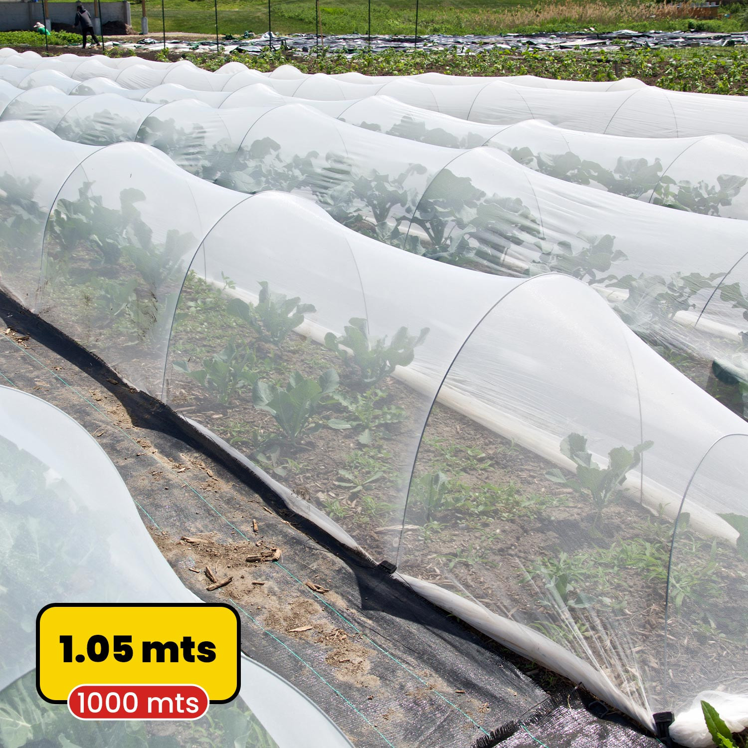 Tela anti heladas blanca 1.05mx1.000m