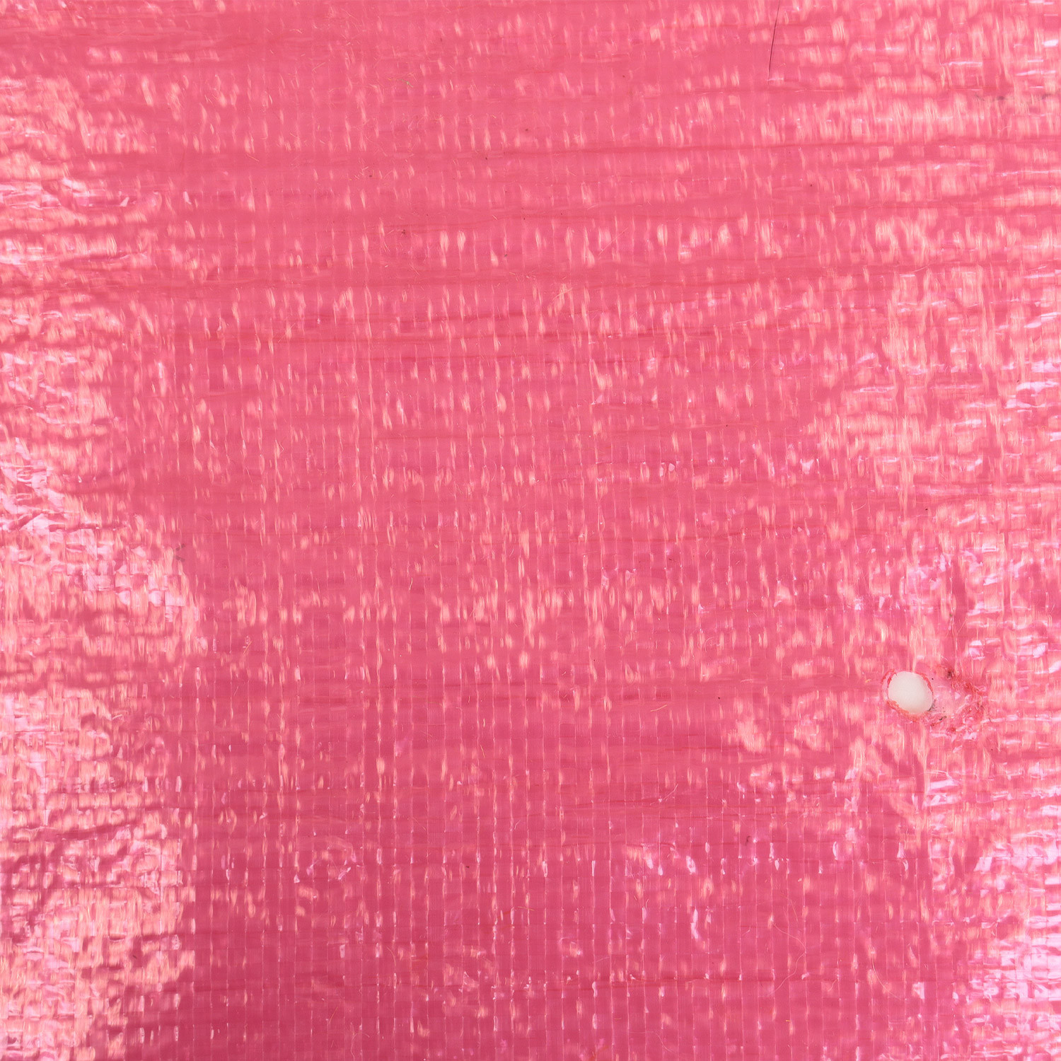 Saco zanahoria rojo trans 45x85cm Saco zanahoria rojo trans 45x85cm